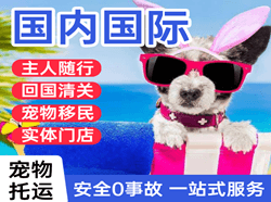吕梁大武机场快递国际宠物托运 【国